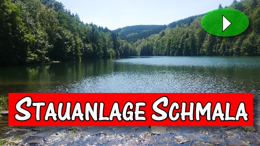 Video Schmalasee