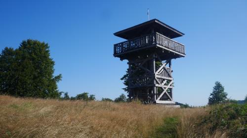 Aussichtsturm Schwaldenburg